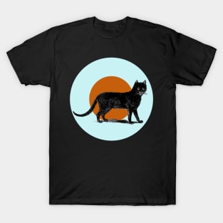 Halloween Black Cat, Signs and Symbols - Pale Blue and Cinnamon T-Shirt